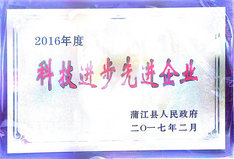 2016年度科技进步先进企业