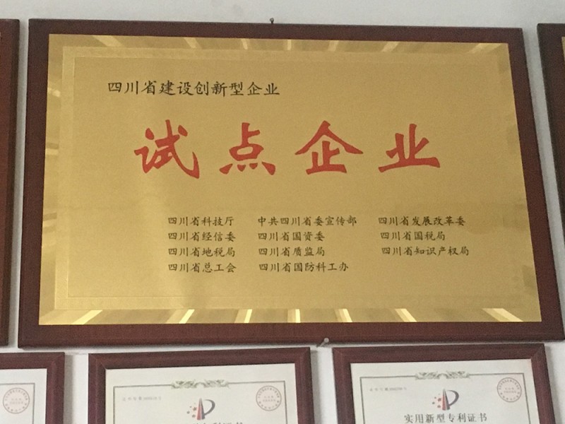 创新型试点企业
